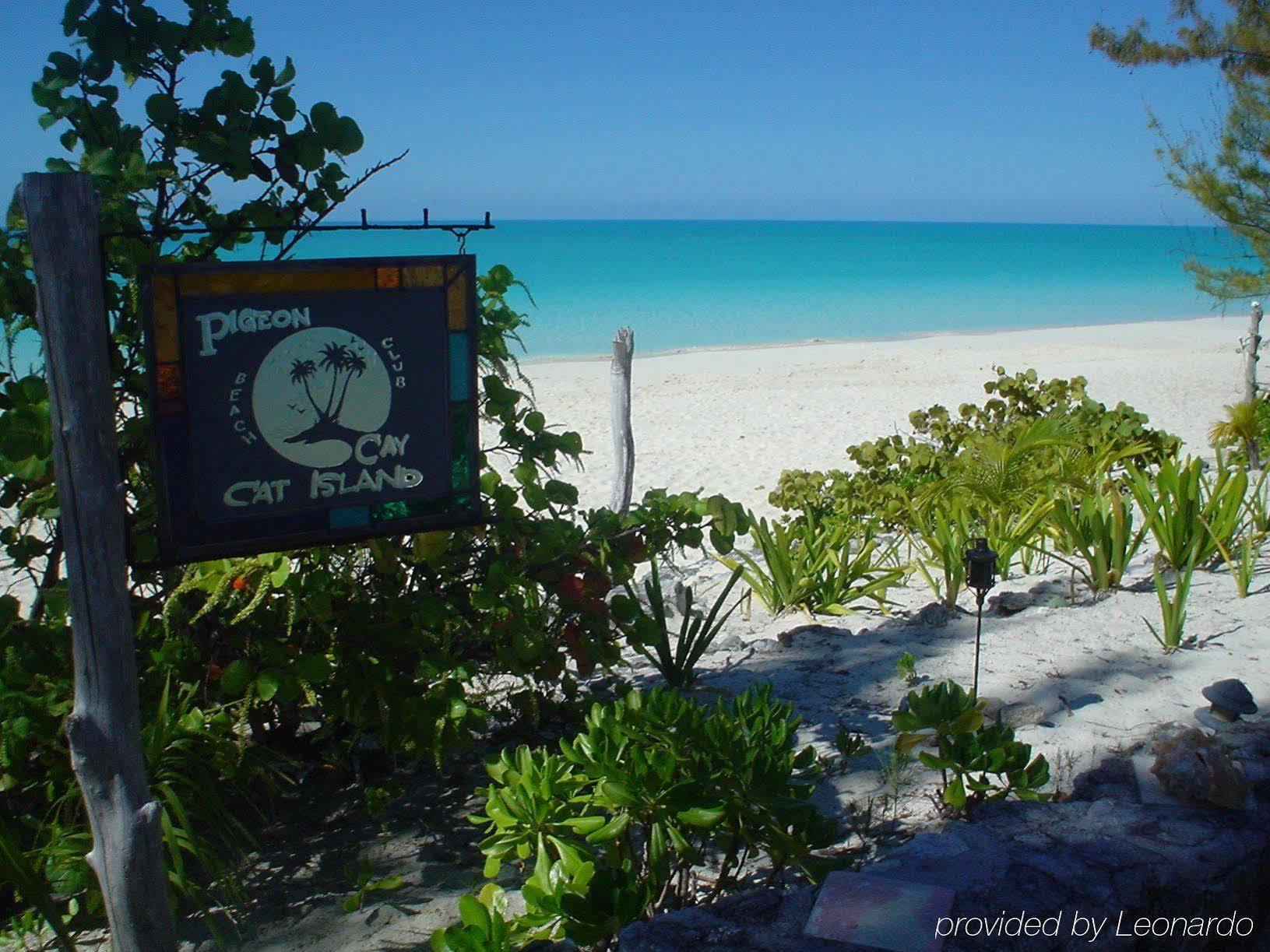 Pigeon Cay Beach Club Arthur Town Exteriér fotografie